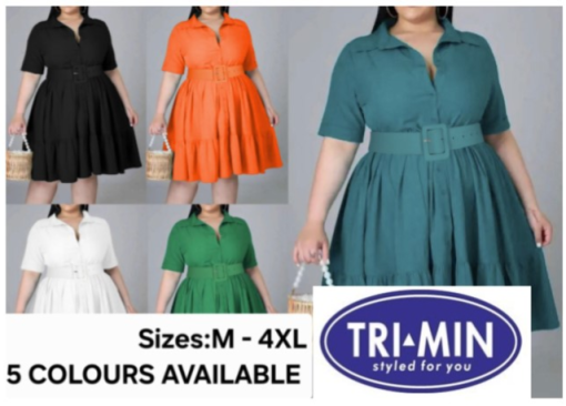 Ladies Fashion Dress