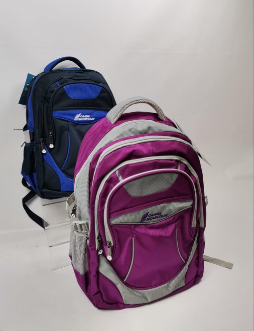 Camel Mountain school bag