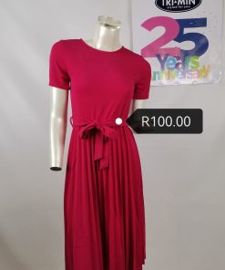 Ladies pleated dress