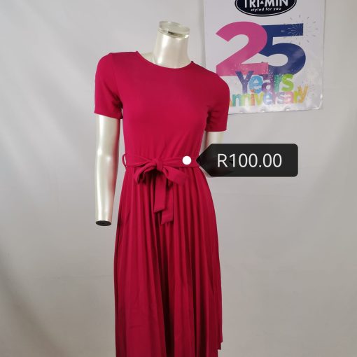 Ladies pleated dress
